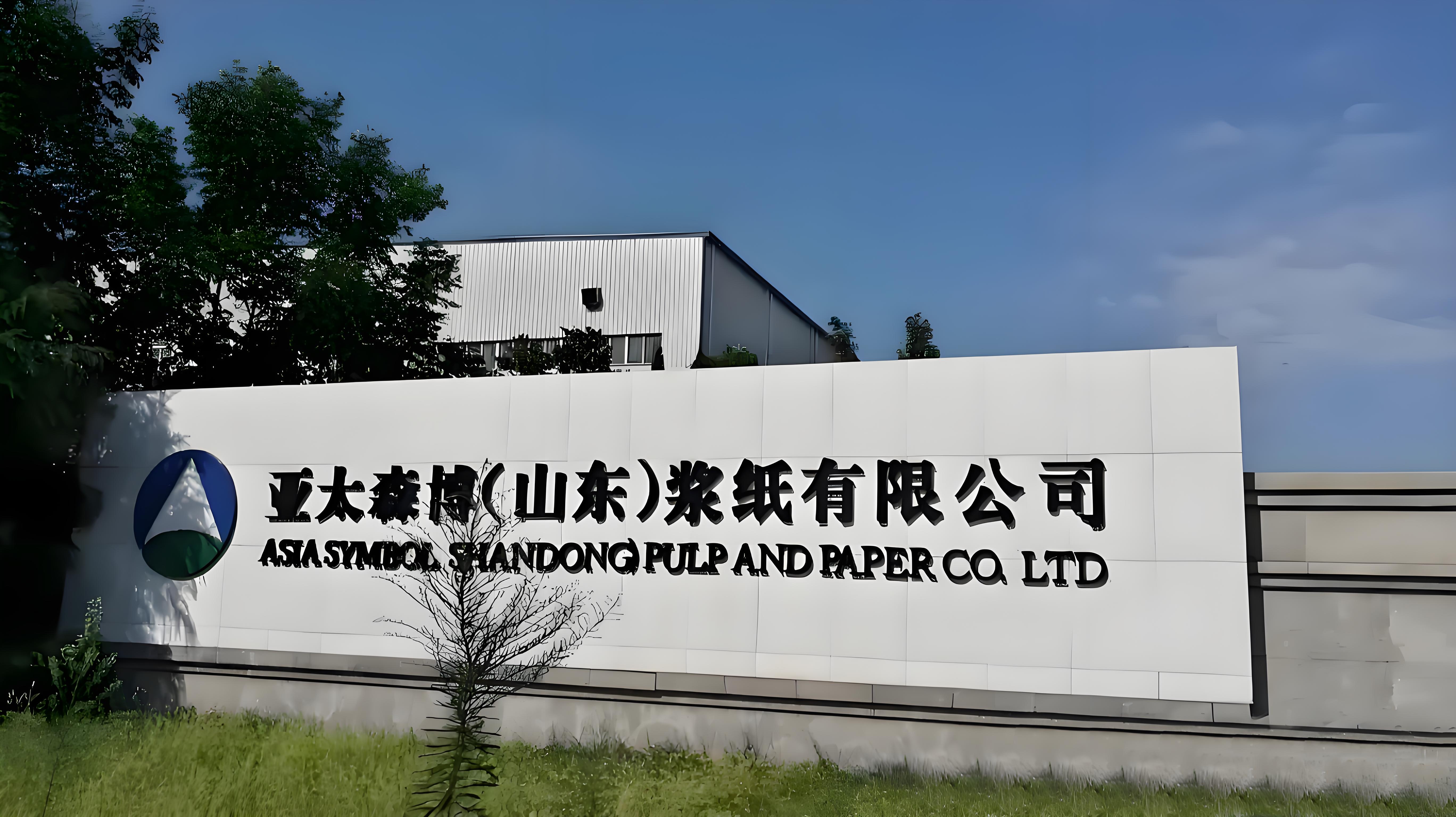 亚太森博（广东）纸业有限公司
